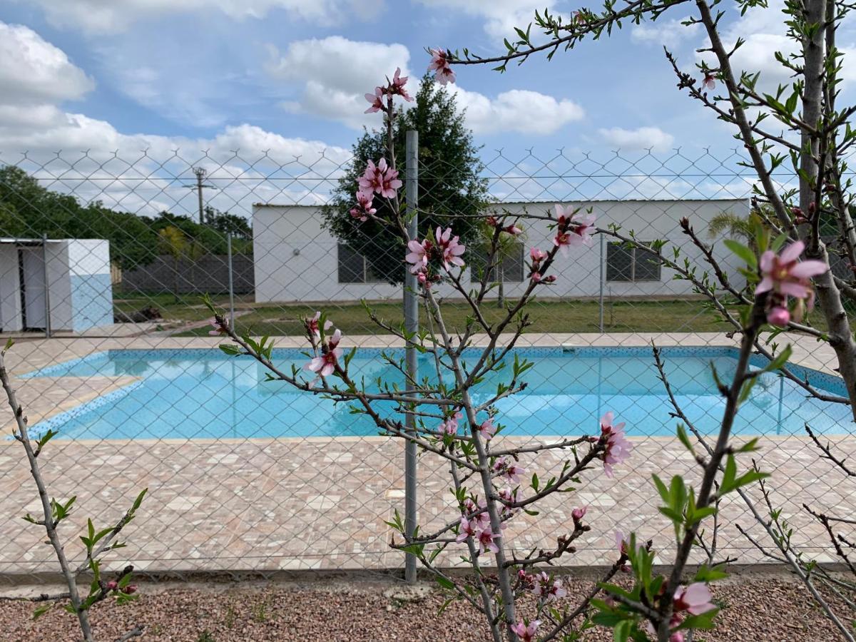 Palm Grove Farm Villa Tit Mellil Екстериор снимка